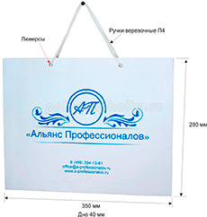 Горизонтальный бумажный пакет по заказу компании АЛЬЯНС ПРОФЕССИОНАЛОВ