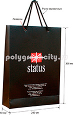 Пакет бумажный вертикальный по заказу компании STATUS