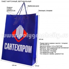 Бумажный пакет вертикальный для компании Сантехпром